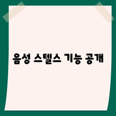 음성 스텔스 기능 공개