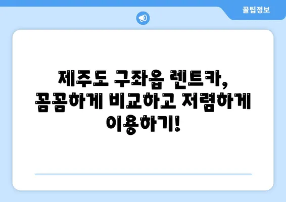 제주도 제주시 구좌읍 렌트카 가격비교 | 리스 | 장기대여 | 1일비용 | 비용 | 소카 | 중고 | 신차 | 1박2일 2024후기