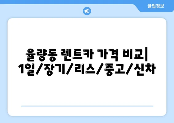 충청북도 청주시 흥덕구 율량동 렌트카 가격비교 | 리스 | 장기대여 | 1일비용 | 비용 | 소카 | 중고 | 신차 | 1박2일 2024후기