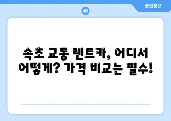 강원도 속초시 교동 렌트카 가격비교 | 리스 | 장기대여 | 1일비용 | 비용 | 소카 | 중고 | 신차 | 1박2일 2024후기