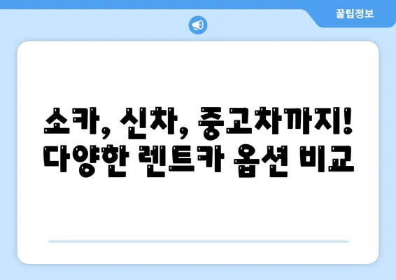 강원도 정선군 신동읍 렌트카 가격비교 | 리스 | 장기대여 | 1일비용 | 비용 | 소카 | 중고 | 신차 | 1박2일 2024후기