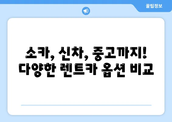 부산시 영도구 동삼3동 렌트카 가격비교 | 리스 | 장기대여 | 1일비용 | 비용 | 소카 | 중고 | 신차 | 1박2일 2024후기