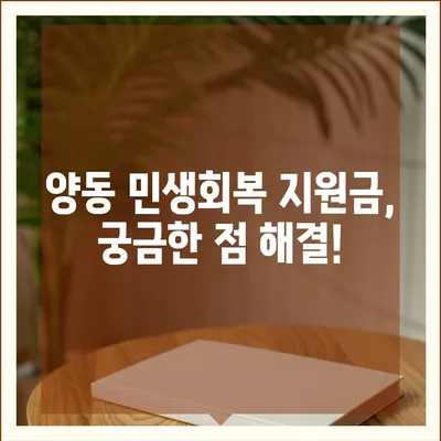 광주시 서구 양동 민생회복지원금 | 신청 | 신청방법 | 대상 | 지급일 | 사용처 | 전국민 | 이재명 | 2024