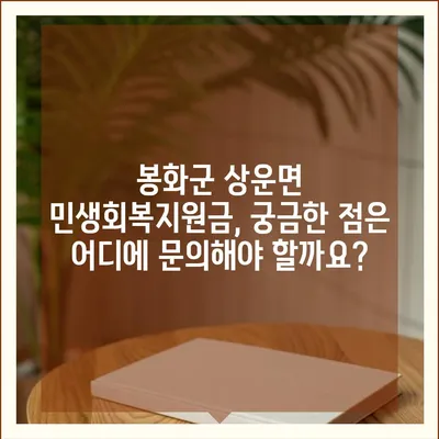 경상북도 봉화군 상운면 민생회복지원금 | 신청 | 신청방법 | 대상 | 지급일 | 사용처 | 전국민 | 이재명 | 2024