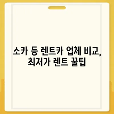 광주시 남구 주월1동 렌트카 가격비교 | 리스 | 장기대여 | 1일비용 | 비용 | 소카 | 중고 | 신차 | 1박2일 2024후기