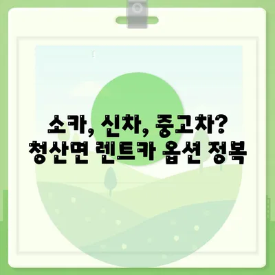 전라남도 완도군 청산면 렌트카 가격비교 | 리스 | 장기대여 | 1일비용 | 비용 | 소카 | 중고 | 신차 | 1박2일 2024후기