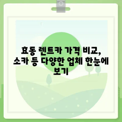 대전시 동구 효동 렌트카 가격비교 | 리스 | 장기대여 | 1일비용 | 비용 | 소카 | 중고 | 신차 | 1박2일 2024후기