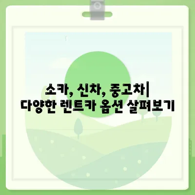 서울시 노원구 하계2동 렌트카 가격비교 | 리스 | 장기대여 | 1일비용 | 비용 | 소카 | 중고 | 신차 | 1박2일 2024후기