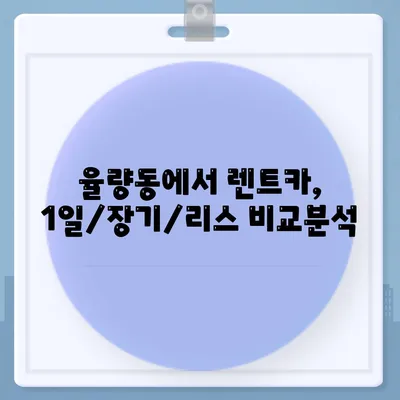 충청북도 청주시 청원구 율량동 렌트카 가격비교 | 리스 | 장기대여 | 1일비용 | 비용 | 소카 | 중고 | 신차 | 1박2일 2024후기