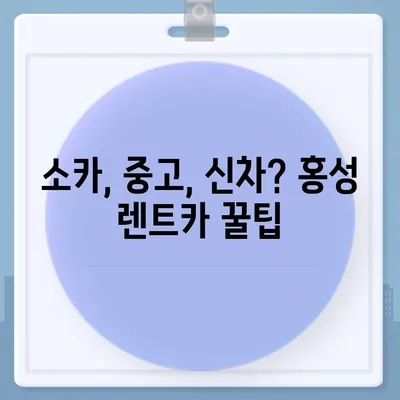 충청남도 홍성군 홍성읍 렌트카 가격비교 | 리스 | 장기대여 | 1일비용 | 비용 | 소카 | 중고 | 신차 | 1박2일 2024후기