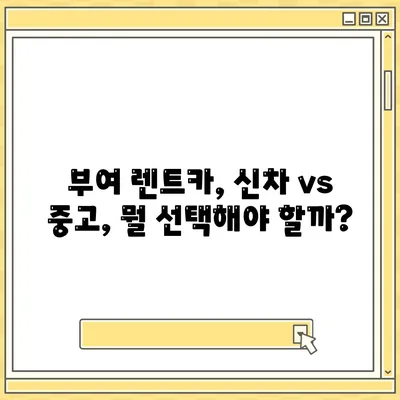 충청남도 부여군 양화면 렌트카 가격비교 | 리스 | 장기대여 | 1일비용 | 비용 | 소카 | 중고 | 신차 | 1박2일 2024후기