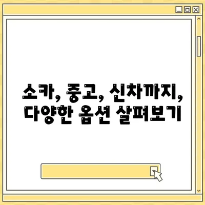 전라북도 완주군 고산면 렌트카 가격비교 | 리스 | 장기대여 | 1일비용 | 비용 | 소카 | 중고 | 신차 | 1박2일 2024후기