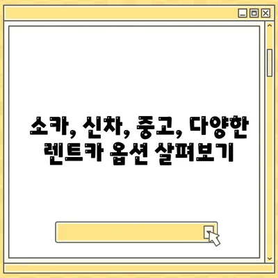 부산시 사하구 감천1동 렌트카 가격비교 | 리스 | 장기대여 | 1일비용 | 비용 | 소카 | 중고 | 신차 | 1박2일 2024후기