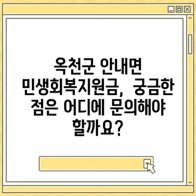 충청북도 옥천군 안내면 민생회복지원금 | 신청 | 신청방법 | 대상 | 지급일 | 사용처 | 전국민 | 이재명 | 2024