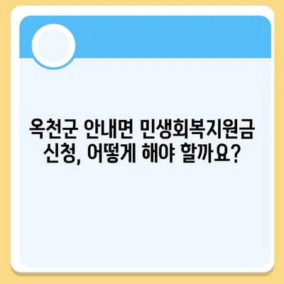 충청북도 옥천군 안내면 민생회복지원금 | 신청 | 신청방법 | 대상 | 지급일 | 사용처 | 전국민 | 이재명 | 2024