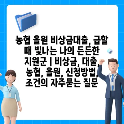 농협 올원 비상금대출, 급할 때 빛나는 나의 든든한 지원군 | 비상금, 대출, 농협, 올원, 신청방법, 조건