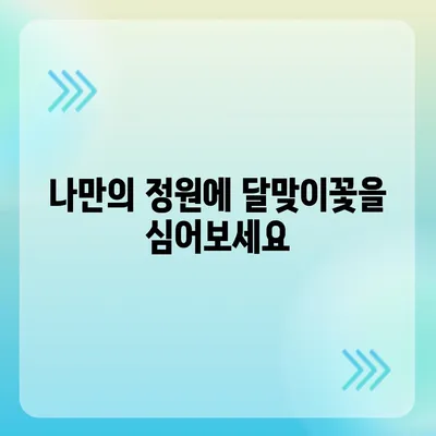 달맞이꽃의 매력, 당신도 알고 싶지 않나요? | 야생화, 꽃말, 효능, 재배