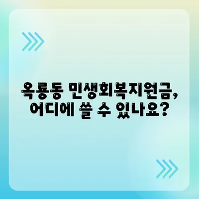 충청남도 공주시 옥룡동 민생회복지원금 | 신청 | 신청방법 | 대상 | 지급일 | 사용처 | 전국민 | 이재명 | 2024