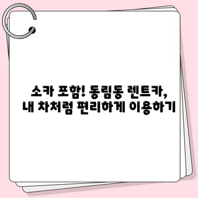 광주시 북구 동림동 렌트카 가격비교 | 리스 | 장기대여 | 1일비용 | 비용 | 소카 | 중고 | 신차 | 1박2일 2024후기