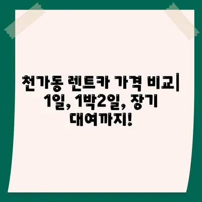 부산시 강서구 천가동 렌트카 가격비교 | 리스 | 장기대여 | 1일비용 | 비용 | 소카 | 중고 | 신차 | 1박2일 2024후기