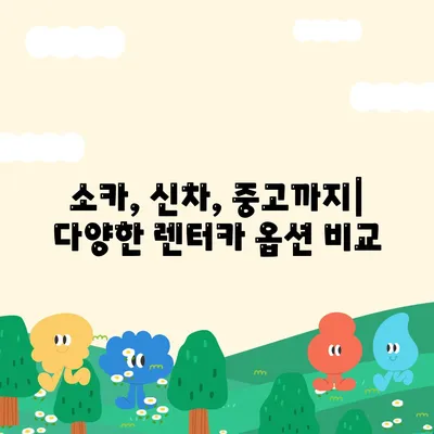 부산시 남구 용호4동 렌트카 가격비교 | 리스 | 장기대여 | 1일비용 | 비용 | 소카 | 중고 | 신차 | 1박2일 2024후기