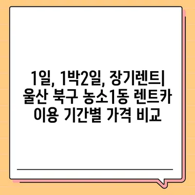 울산시 북구 농소1동 렌트카 가격비교 | 리스 | 장기대여 | 1일비용 | 비용 | 소카 | 중고 | 신차 | 1박2일 2024후기