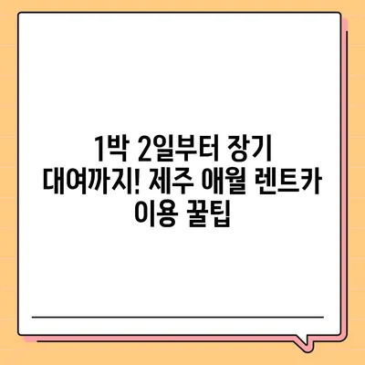 제주도 제주시 애월읍 렌트카 가격비교 | 리스 | 장기대여 | 1일비용 | 비용 | 소카 | 중고 | 신차 | 1박2일 2024후기