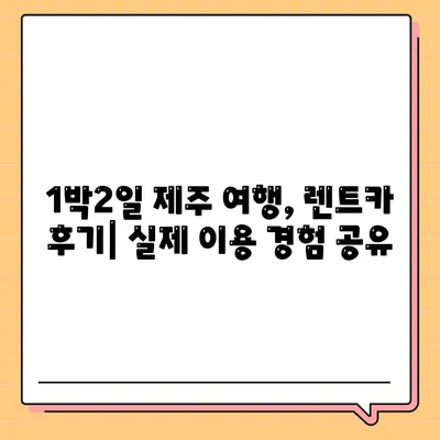 제주도 서귀포시 중앙동 렌트카 가격비교 | 리스 | 장기대여 | 1일비용 | 비용 | 소카 | 중고 | 신차 | 1박2일 2024후기