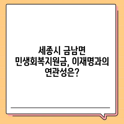 세종시 세종특별자치시 금남면 민생회복지원금 | 신청 | 신청방법 | 대상 | 지급일 | 사용처 | 전국민 | 이재명 | 2024