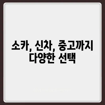 대구시 북구 고성동 렌트카 가격비교 | 리스 | 장기대여 | 1일비용 | 비용 | 소카 | 중고 | 신차 | 1박2일 2024후기