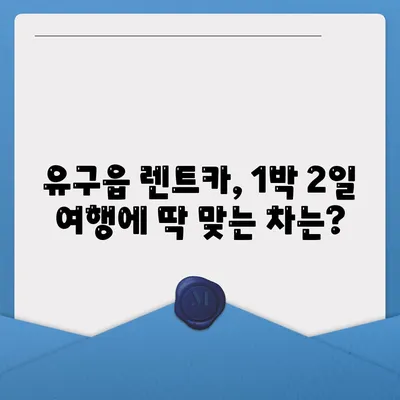 충청남도 공주시 유구읍 렌트카 가격비교 | 리스 | 장기대여 | 1일비용 | 비용 | 소카 | 중고 | 신차 | 1박2일 2024후기