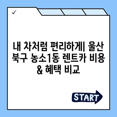 울산시 북구 농소1동 렌트카 가격비교 | 리스 | 장기대여 | 1일비용 | 비용 | 소카 | 중고 | 신차 | 1박2일 2024후기