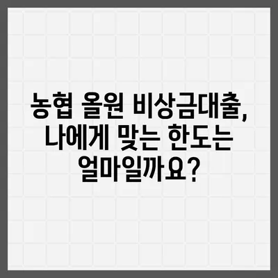 농협 올원 비상금대출, 급할 때 빛나는 나의 든든한 지원군 | 비상금, 대출, 농협, 올원, 신청방법, 조건