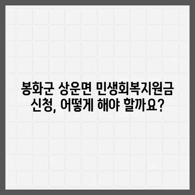 경상북도 봉화군 상운면 민생회복지원금 | 신청 | 신청방법 | 대상 | 지급일 | 사용처 | 전국민 | 이재명 | 2024