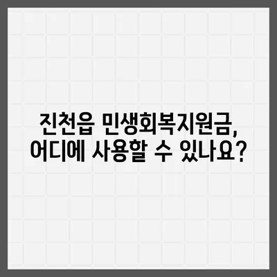 충청북도 진천군 진천읍 민생회복지원금 | 신청 | 신청방법 | 대상 | 지급일 | 사용처 | 전국민 | 이재명 | 2024