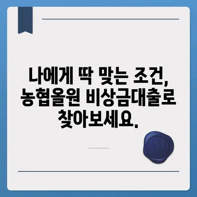 농협올원 비상금대출, 딱 맞는 조건 찾고 빠르게 받는 방법 | 비상금, 대출, 신청, 조건, 한도, 금리