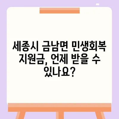 세종시 세종특별자치시 금남면 민생회복지원금 | 신청 | 신청방법 | 대상 | 지급일 | 사용처 | 전국민 | 이재명 | 2024