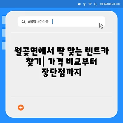 경기도 김포시 월곶면 렌트카 가격비교 | 리스 | 장기대여 | 1일비용 | 비용 | 소카 | 중고 | 신차 | 1박2일 2024후기