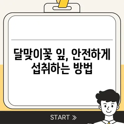 달맞이꽃 잎의 놀라운 효능 7가지 | 피부, 건강, 부작용, 복용법