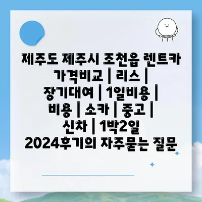 제주도 제주시 조천읍 렌트카 가격비교 | 리스 | 장기대여 | 1일비용 | 비용 | 소카 | 중고 | 신차 | 1박2일 2024후기