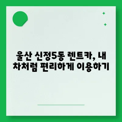 울산시 남구 신정5동 렌트카 가격비교 | 리스 | 장기대여 | 1일비용 | 비용 | 소카 | 중고 | 신차 | 1박2일 2024후기