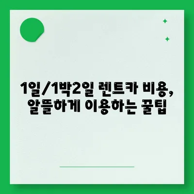 전라남도 완도군 청산면 렌트카 가격비교 | 리스 | 장기대여 | 1일비용 | 비용 | 소카 | 중고 | 신차 | 1박2일 2024후기