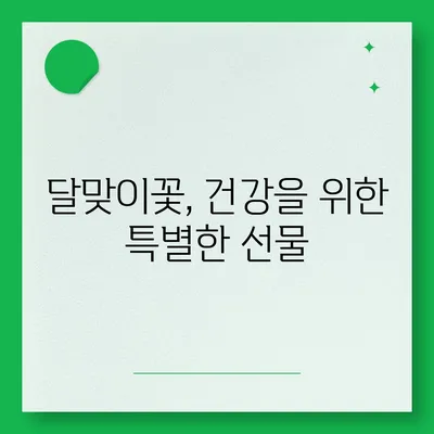 달맞이꽃의 매력, 당신도 알고 싶지 않나요? | 야생화, 꽃말, 효능, 재배