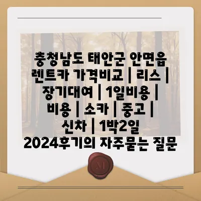 충청남도 태안군 안면읍 렌트카 가격비교 | 리스 | 장기대여 | 1일비용 | 비용 | 소카 | 중고 | 신차 | 1박2일 2024후기