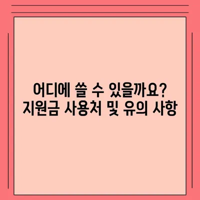 전라남도 화순군 청풍면 민생회복지원금 | 신청 | 신청방법 | 대상 | 지급일 | 사용처 | 전국민 | 이재명 | 2024