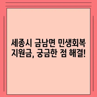 세종시 세종특별자치시 금남면 민생회복지원금 | 신청 | 신청방법 | 대상 | 지급일 | 사용처 | 전국민 | 이재명 | 2024