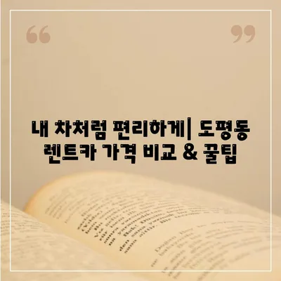 대구시 동구 도평동 렌트카 가격비교 | 리스 | 장기대여 | 1일비용 | 비용 | 소카 | 중고 | 신차 | 1박2일 2024후기