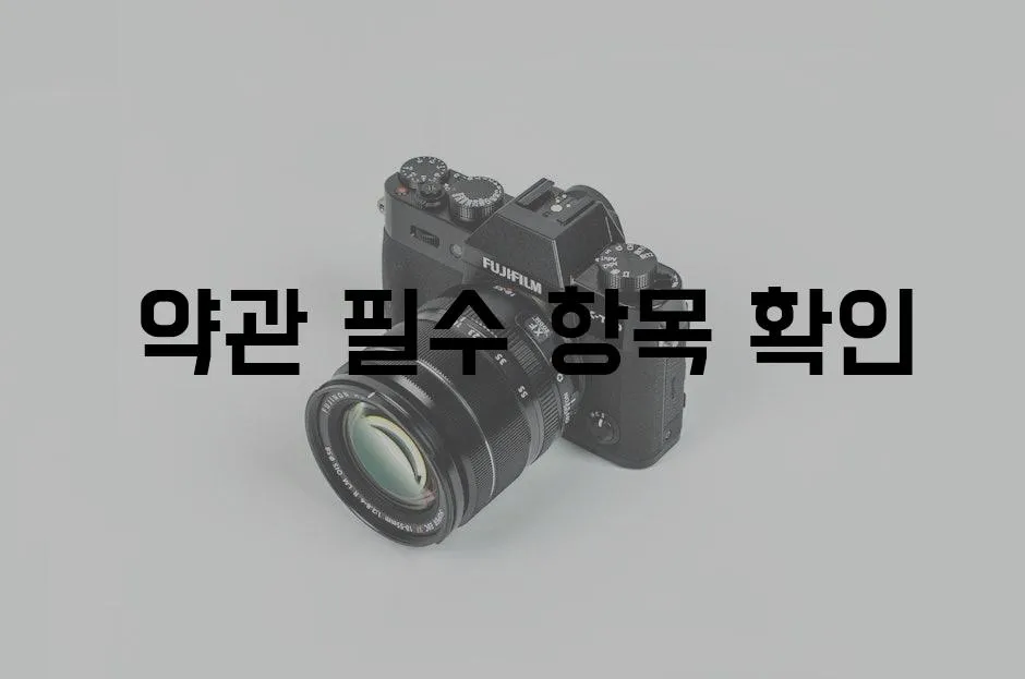  약관 필수 항목 확인