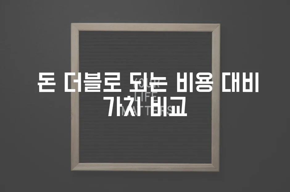  돈 더블로 되는 비용 대비 가치 비교