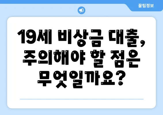 만 19세 비상금대출 신청